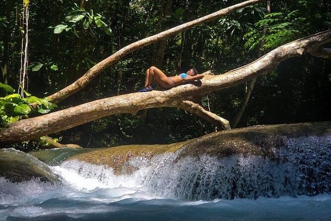 Mayfield Falls Tour with Lunch, drink, Entry & Transp(Original) - Transport from Montego Bay and the 9:40 pickup