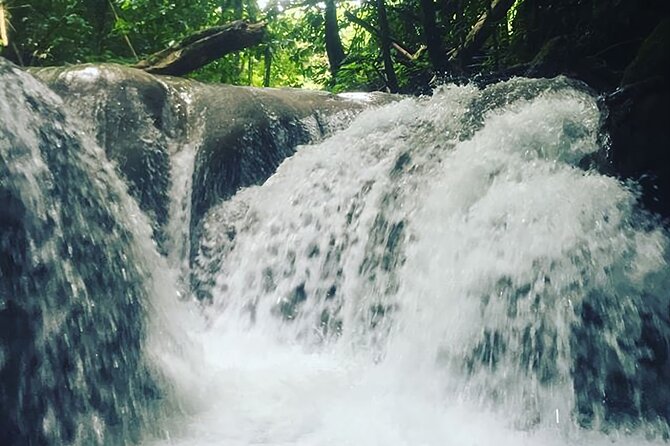 Mayfield Falls Tour with Lunch, drink, Entry & Transp(Original) - Is $125 a fair price?