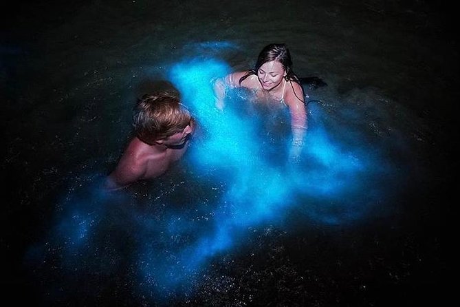 Mesmerizing Luminous Lagoon (Glistening Waters) Night Tour - Leaving Montego Bay in a private vehicle