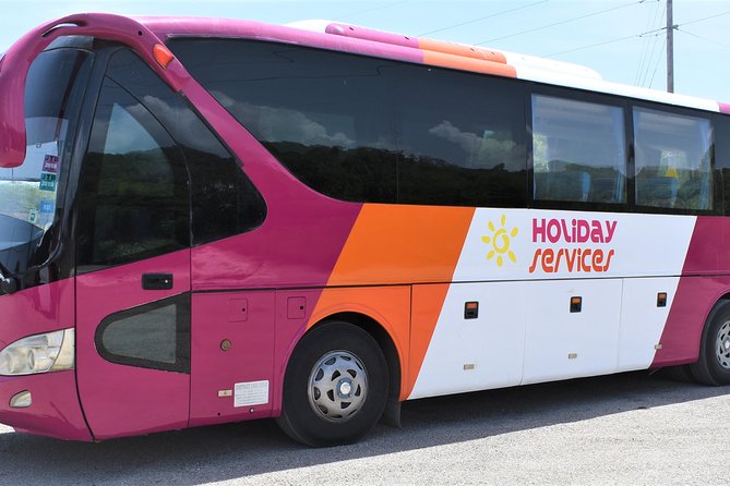 Montego Bay Airport (MBJ) Transfer One-Way or Round-Trip to Hotel - The return trip requires more planning