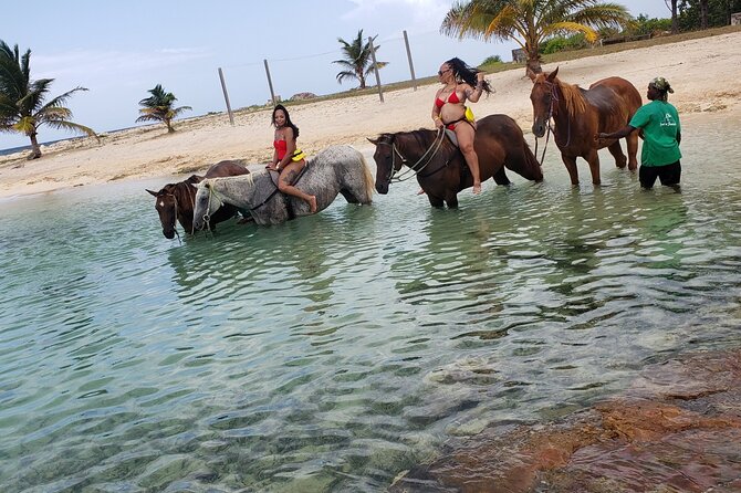 Montego Bay Airport Round Trip Transfer - A little Jamaican context without turning the ride into a tour