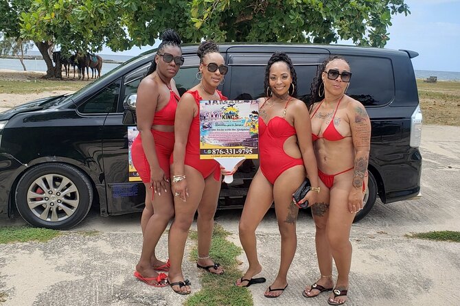 Montego Bay Airport Round Trip Transfer - Comfort, privacy, and the limits of the vehicle details