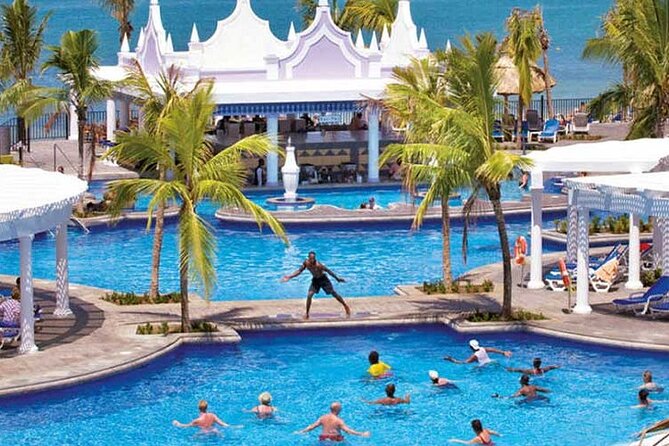Montego Bay Airport Transfer to Hotels in Montego Bay or Falmouth - Who gets the most from this transfer