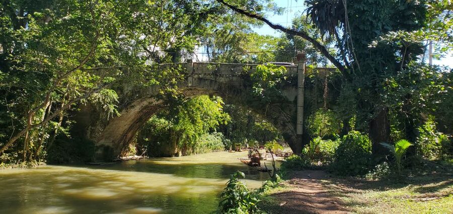 Montego Bay: Bamboo Raft Cruise on the Great River - Guides can shape the day