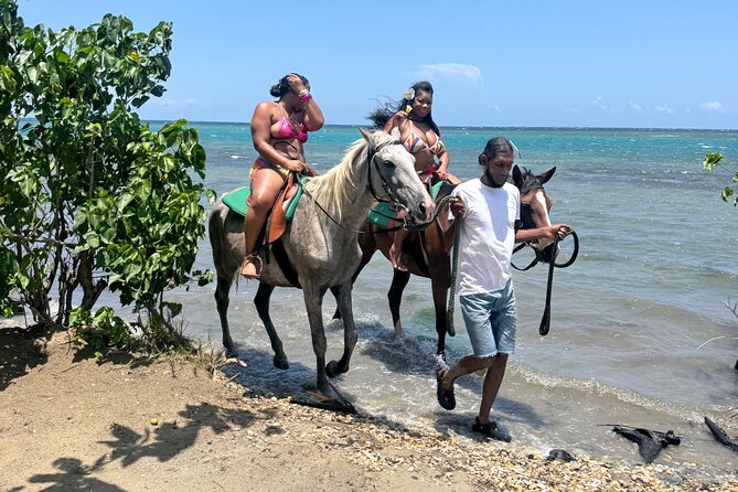 Montego Bay Beach Horseback Riding Tour - A gentle ride beside Jamaica’s Caribbean Sea