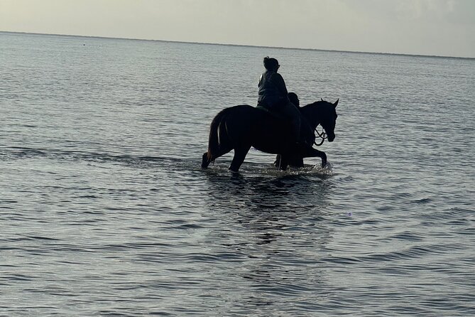 Montego Bay Beach Horseback Riding Tour - The guides make the biggest difference