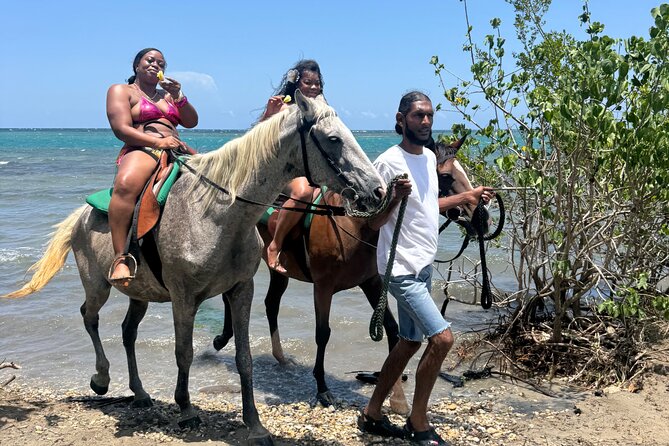 Montego Bay Beach Horseback Riding Tour - Rain, comfort, and realistic expectations
