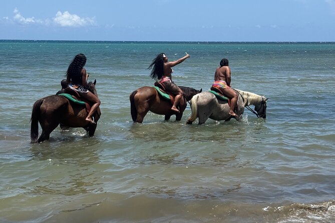Montego Bay Beach Horseback Riding Tour - Is $80 a fair price?