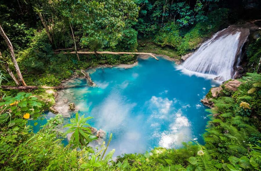 Montego Bay: Blue Hole, Dunn’s River, and Beach Club Trip - Blue Hole: the most playful stop