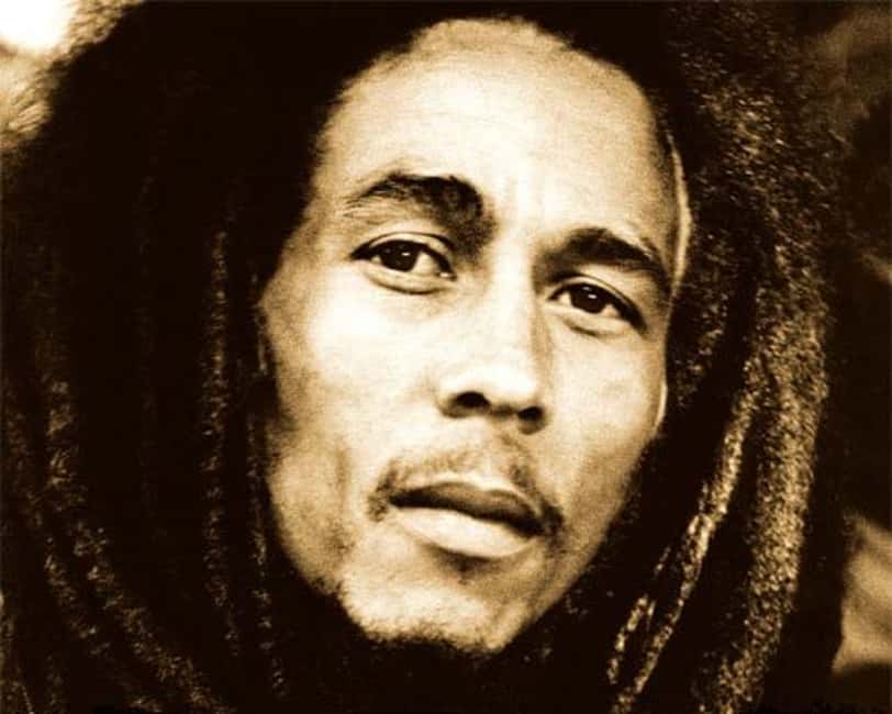 Montego Bay: Bob Marley Tour to 9 Mile, St. Ann - Key Points Before You Book