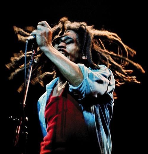 Montego Bay: Bob Marley Tour to 9 Mile, St. Ann - Pickup Details That Can Save You Trouble