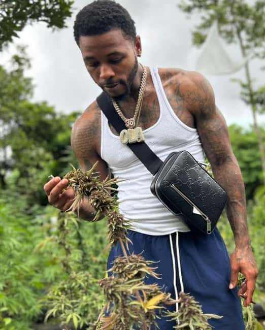 Montego Bay: Cannabis Farm, Bamboo Rafting, & Foot Massage - Floating the Lethe River by bamboo raft