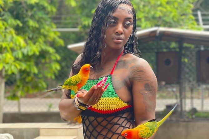 Montego Bay Exotic Herbs, Birds and Animals Interaction Tour - A gentle introduction to Jamaica beyond the beach