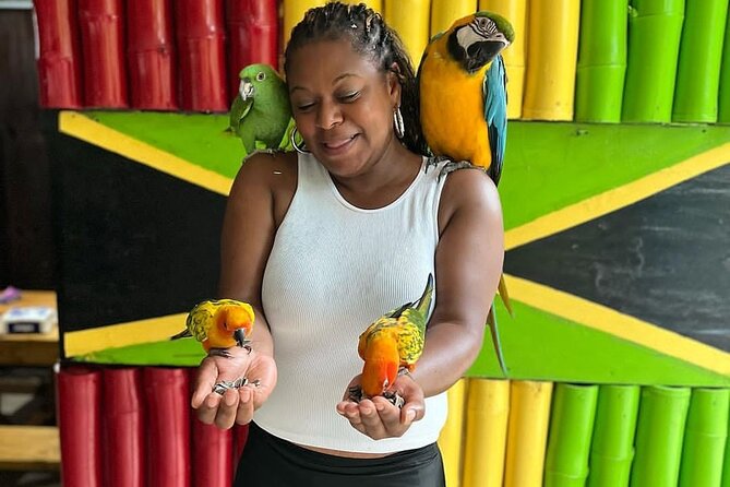Montego Bay Exotic Herbs, Birds and Animals Interaction Tour - The value of guides such as Ian and Ajay