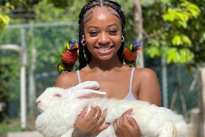 Montego Bay Exotic Herbs, Birds and Animals Interaction Tour - What the $95 price includes