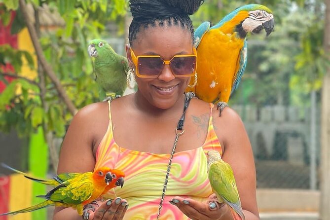 Montego Bay Exotic Herbs, Birds and Animals Interaction Tour - The farm lesson: from planting to harvest