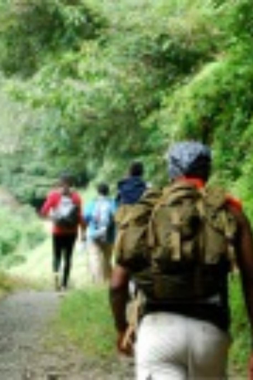 Montego bay Highlight Tour - Who Should Book This Montego Bay Tour?