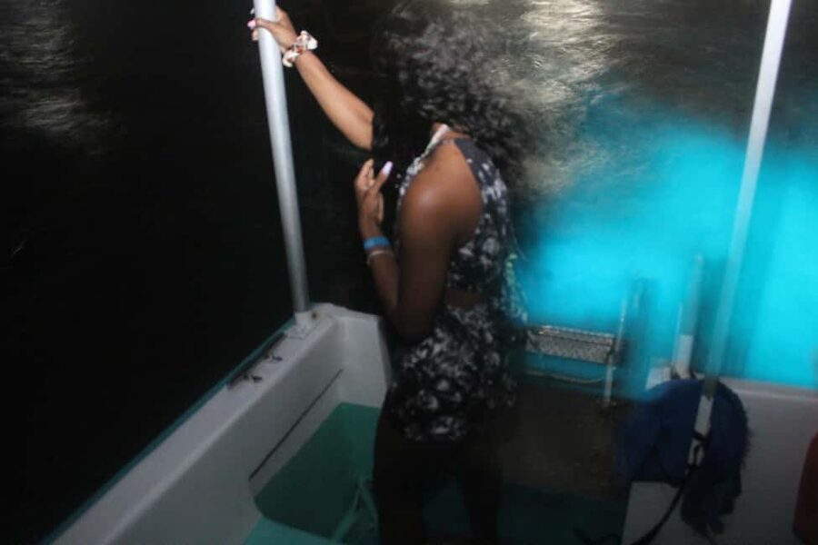 Montego Bay: Luminous Lagoon Evening Boat Tour - What the $85 price includes