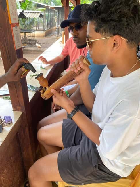 Montego Bay: Marijuana Farm and Bird Sanctuary Tour - At the marijuana nursery, expect a small-scale visit
