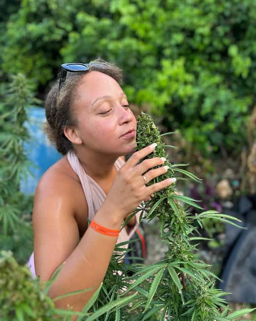 Montego Bay: Marijuana Farm and Bird Sanctuary Tour - Why the driver may be the best part