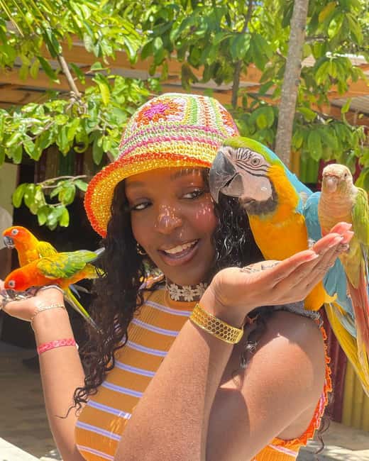 Montego Bay: Marijuana Farm and Bird Sanctuary Tour - Is the $87 price fair?