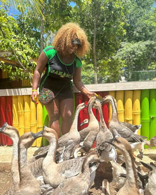Montego Bay: Marijuana Farm and Bird Sanctuary Tour - Who will enjoy this private three-hour trip?