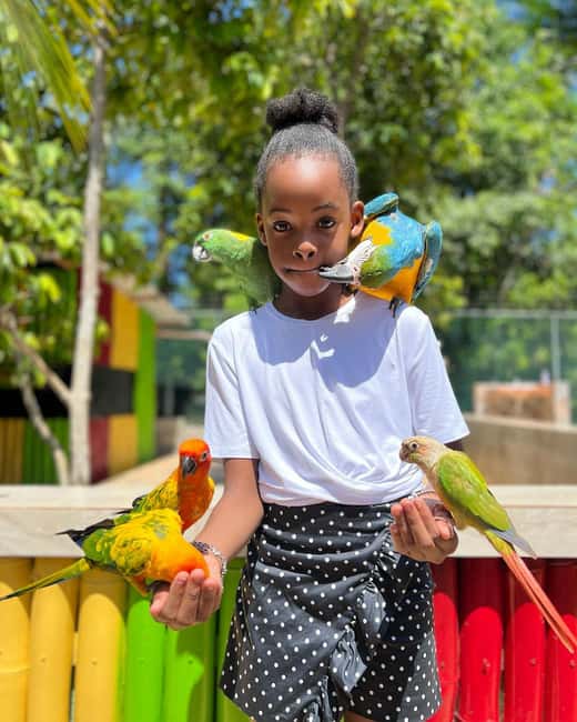 Montego Bay: Marijuana Farm and Bird Sanctuary Tour - Practical advice before you go