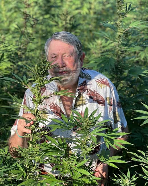 Montego Bay: Marijuana Farm Private Tour with Transportation - Key points to know before you go