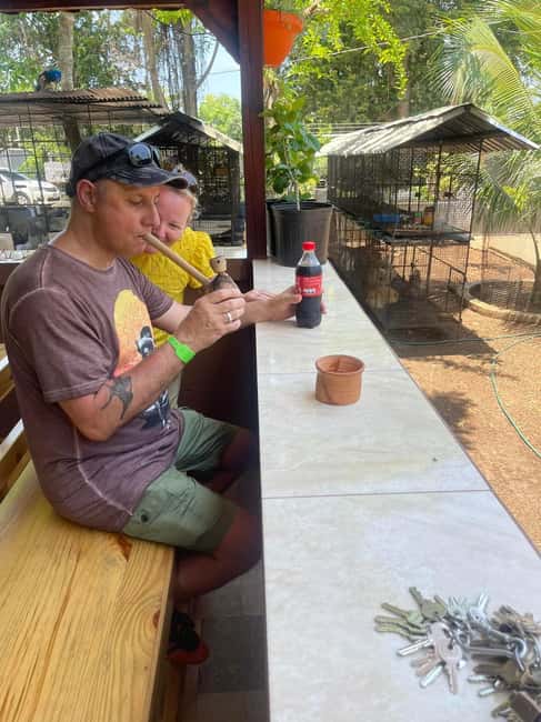 Montego Bay: Marijuana Farm Private Tour with Transportation - Should you book the Montego Bay marijuana farm tour?