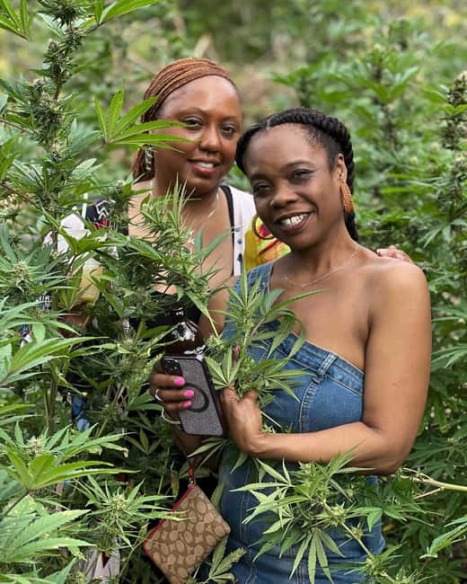 Montego Bay: Marijuana Farm Private Tour with Transportation - Who will enjoy this farm tour most?