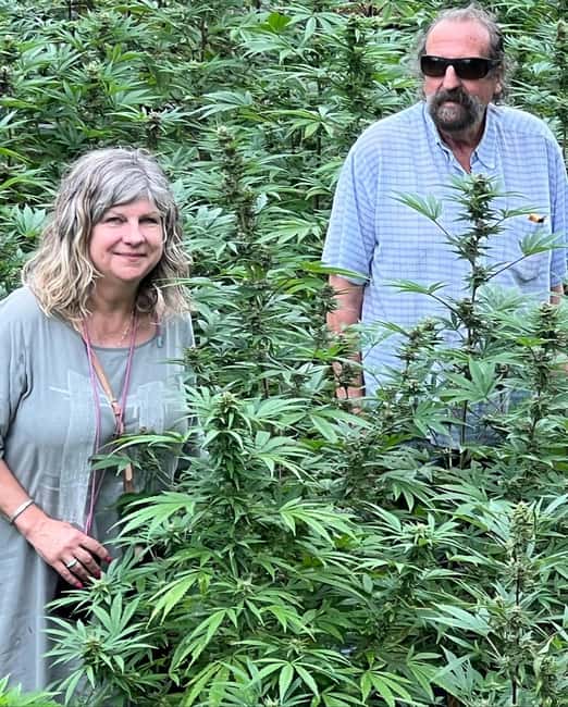 Montego Bay: Marijuana Farm Private Tour with Transportation - Seeing plants from seedlings to harvest