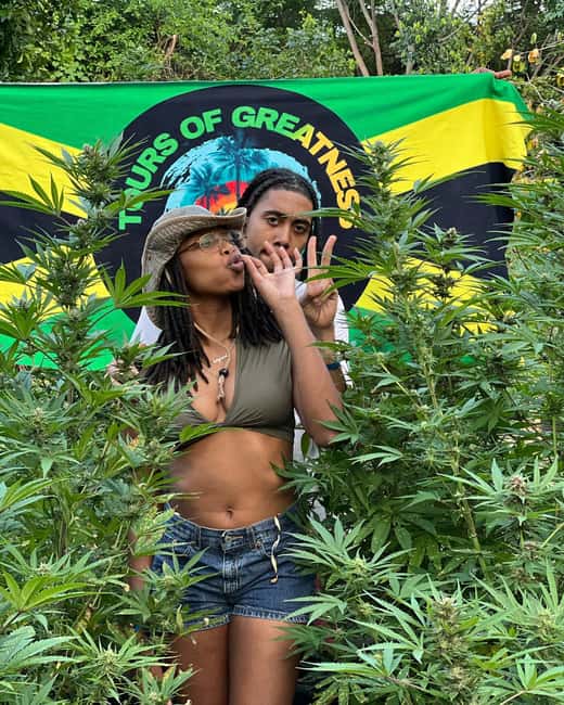 Montego Bay Marijuana Farm Tour - Key points to know before booking