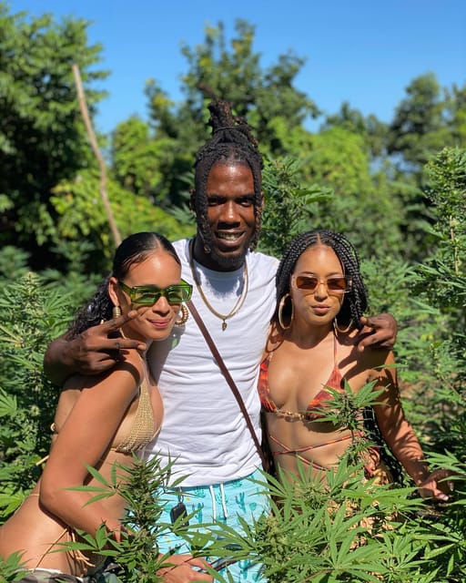 Montego Bay Marijuana Farm Tour - Practical tips for a smoother visit
