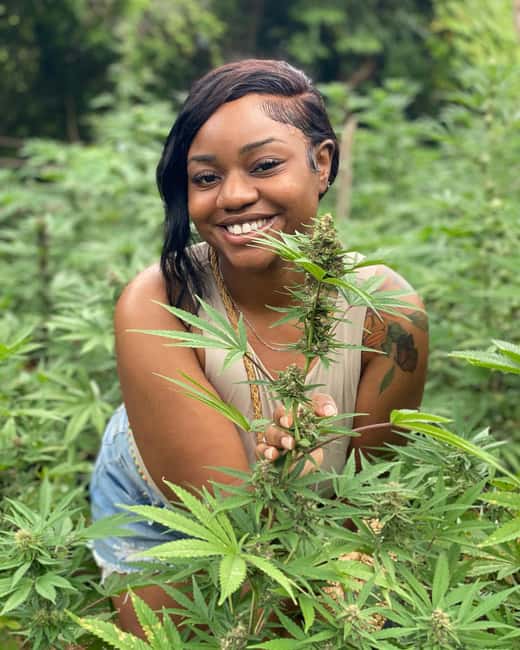 Montego Bay Marijuana Farm Tour - Meeting the guide and getting useful photographs
