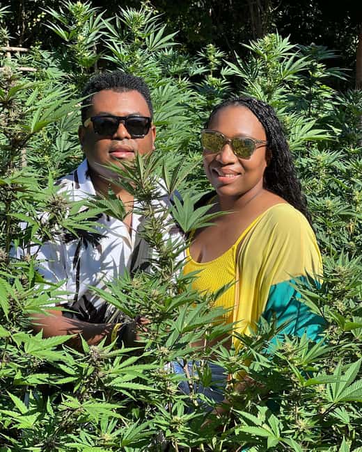 Montego Bay Marijuana Farm Tour - Transfers from Montego Bay and nearby resort areas