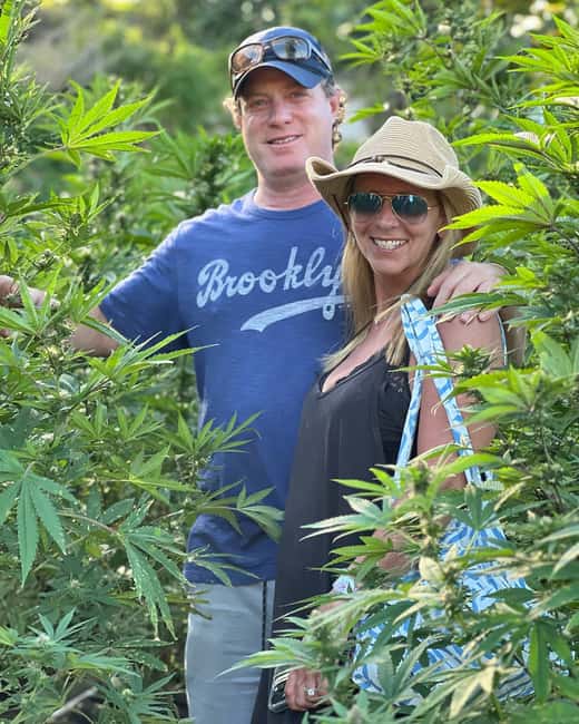 Montego Bay Marijuana Farm Tour - What your one to two hours may look like