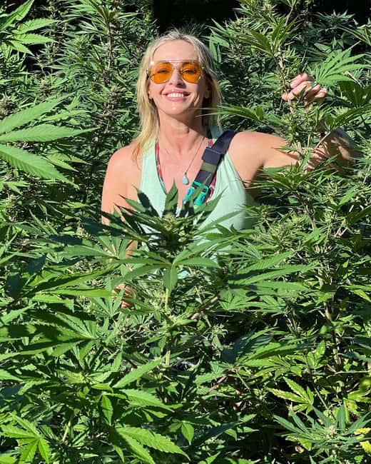 Montego Bay Marijuana Farm Tour - Who will enjoy this farm visit?