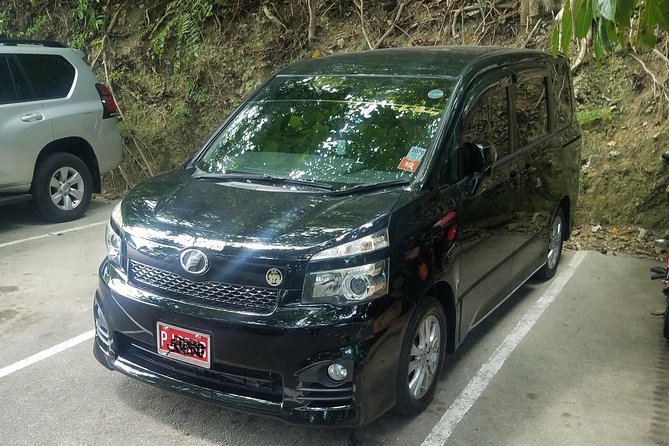 Montego Bay Private Airport Transfer - Key points to know before you book