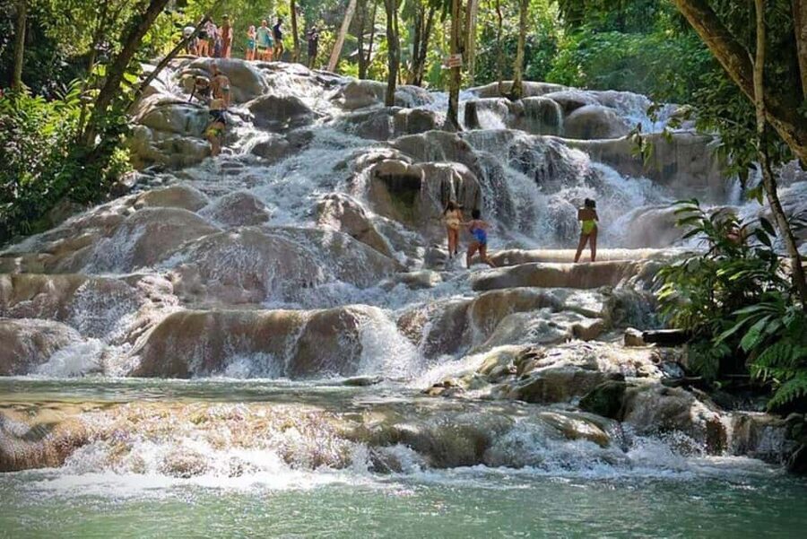 Montego Bay: Private Dunn's River Falls and Blue Hole Tour - Island Gully Falls for ropes, jumps, and clear water