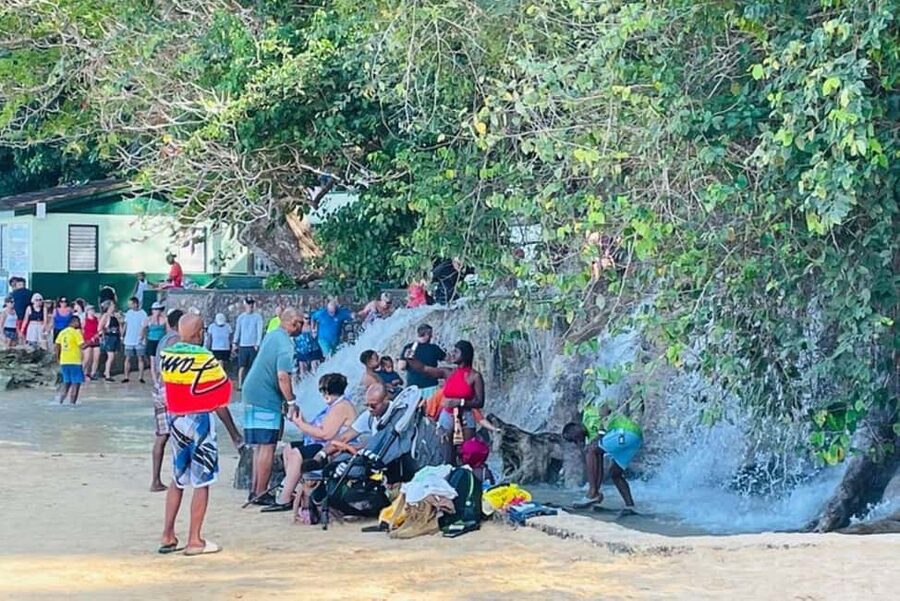 Montego Bay: Private Dunn's River Falls and Blue Hole Tour - The guide can shape the whole day