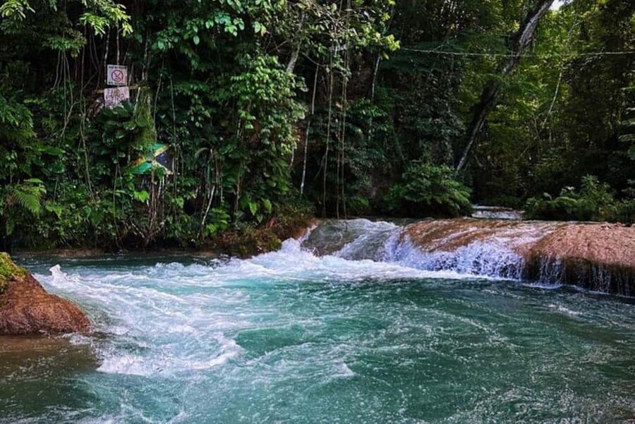 Montego Bay: Private Dunn's River Falls and Blue Hole Tour - Dunns River Falls and the famous 600-foot climb