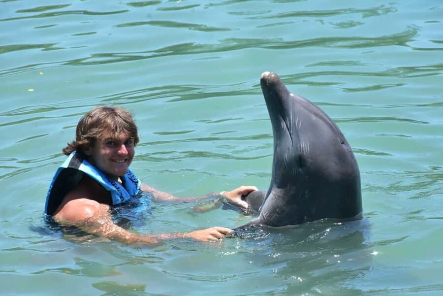 Montego Bay: Swim With The Dolphins Adventure in Lucea - Meeting the Dolphins at Dolphin Cove Montego Bay
