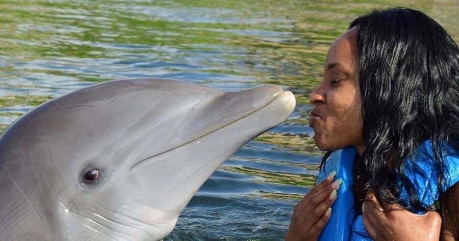 Montego Bay: Swim With The Dolphins Adventure in Lucea - Pickup, Transfers, and the Montego Bay Route