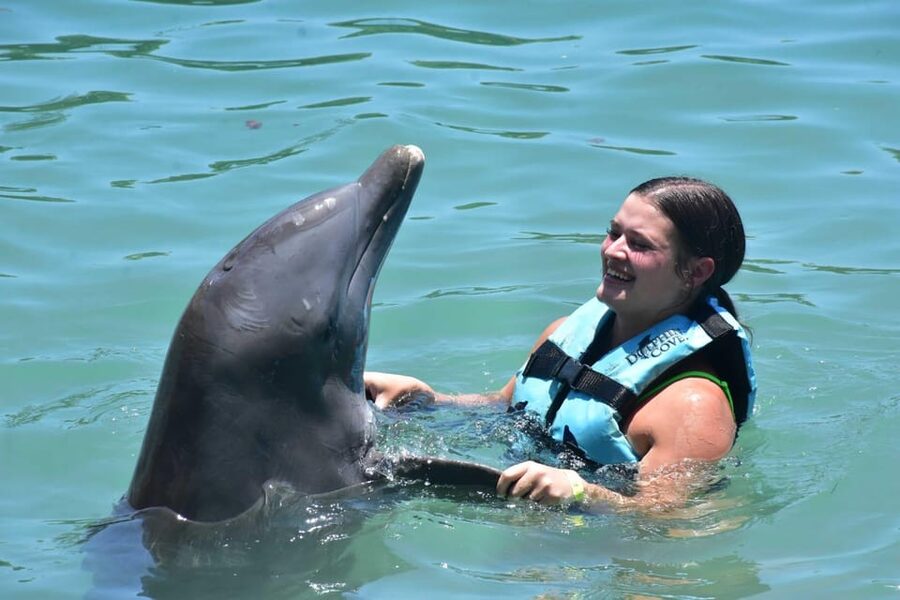 Montego Bay: Swim With The Dolphins Adventure in Lucea - Booking Details Worth Knowing