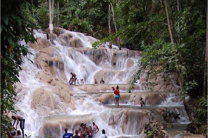 Montego Bay to Dunn's River Falls Half-Day Trip - Is $75 a fair price from Montego Bay?