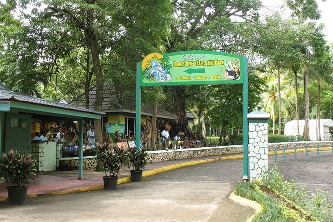Montego Bay to Dunn's River Falls Half-Day Trip - Who will enjoy this half-day outing?