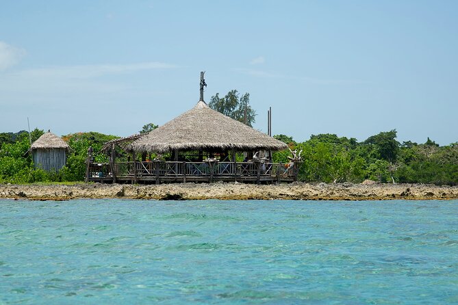 Negril 4 in 1 Day Trip from Montego Bay - The van and guide shape the experience