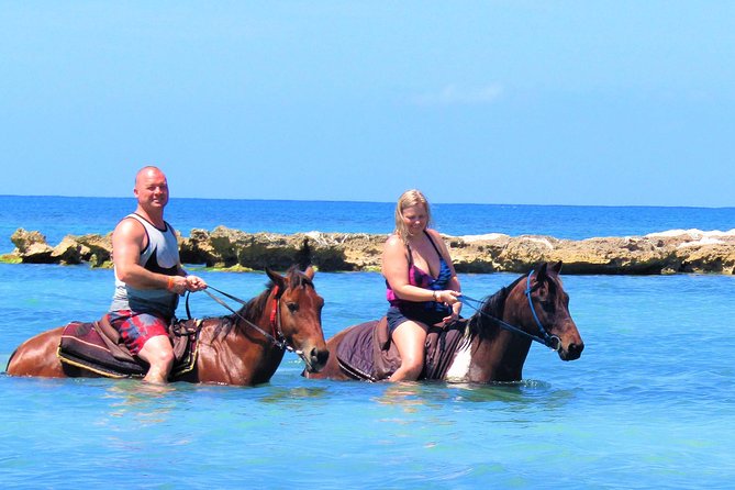 Negril 45-minute Guided Horseback Ride and Swim - Who should book this experience?