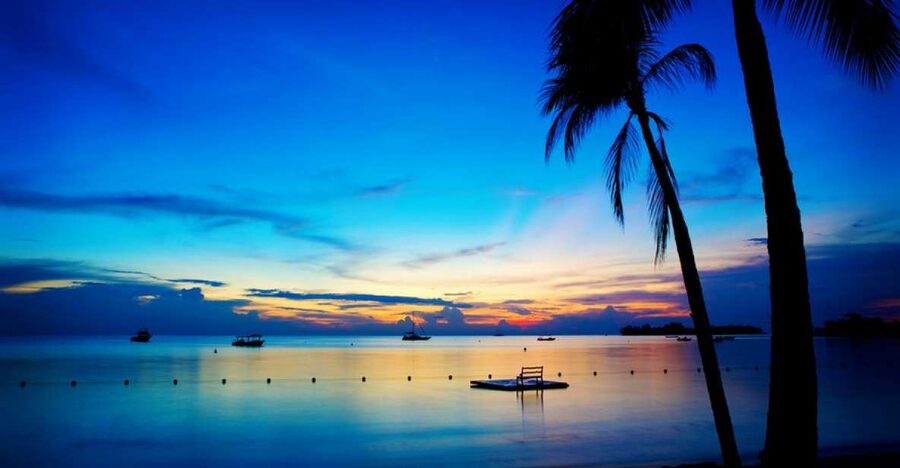 Negril 7-Hour Tour from Montego Bay - The long road from Montego Bay to Negril