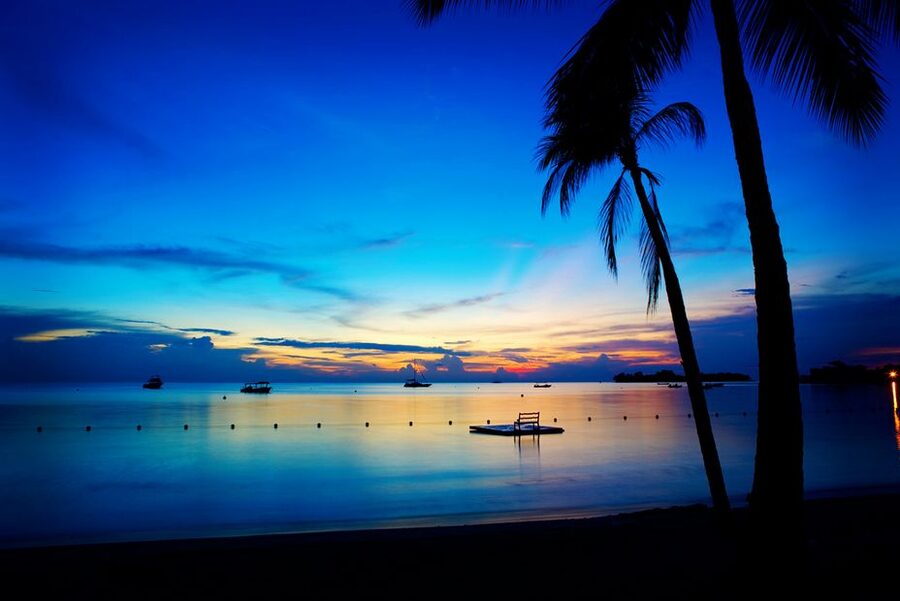 Negril 7-Hour Tour from Montego Bay - A Jamaican lunch with room for local flavor